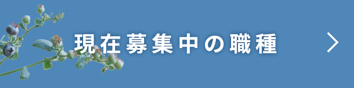 現在募集中の職種